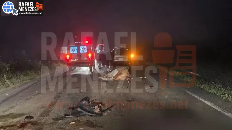 Colisão entre veículo e bovinos deixa mulher ferida na ERS-149, entre Nova Palma e Pinhal Grande