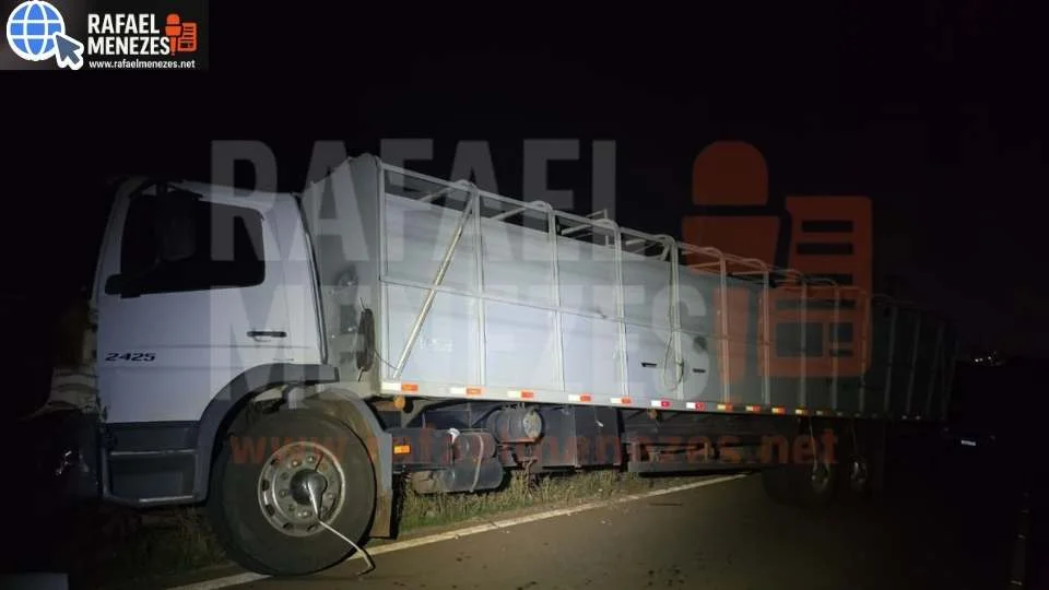 Caminhão colide com animais soltos na estrada entre Júlio de Castilhos e Pinhal Grande