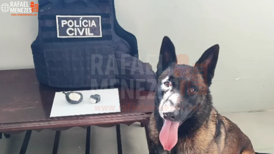 Polícia Civil apreende R$ 30 mil em cocaína escondida em área de mata em São Francisco de Assis