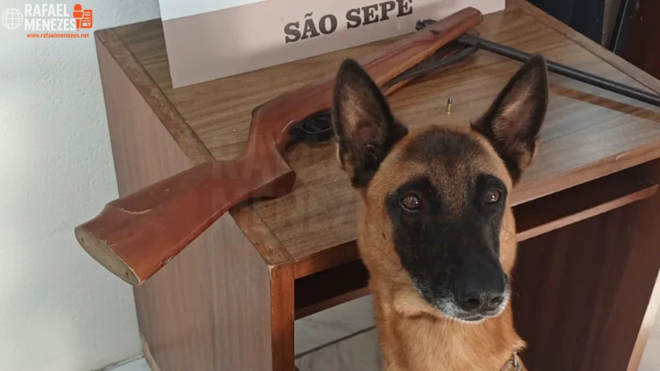 Homem é preso por receptação e porte ilegal de arma em São Sepé