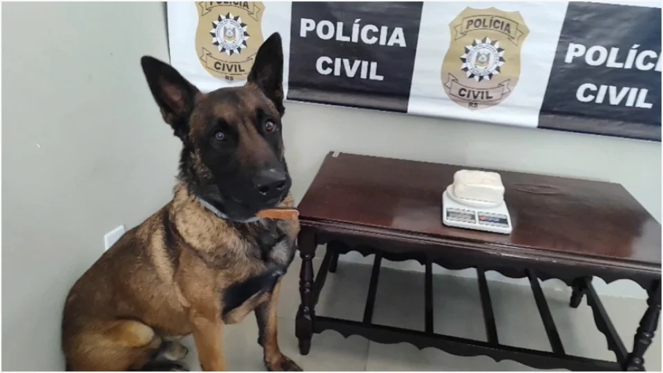 Polícia Civil apreende mais de R$ 60 mil em cocaína em São Francisco de Assis