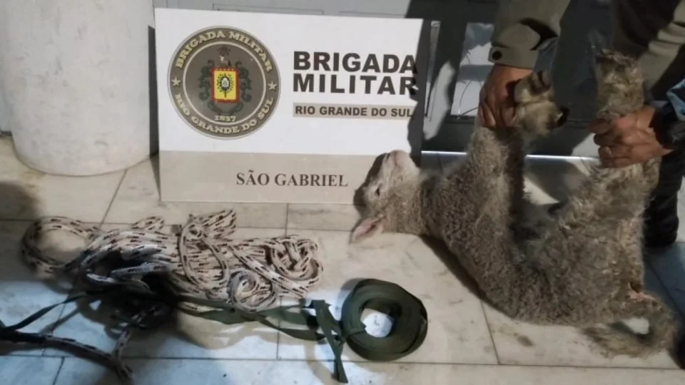 Três homens são presos por furto abigeato em São Gabriel